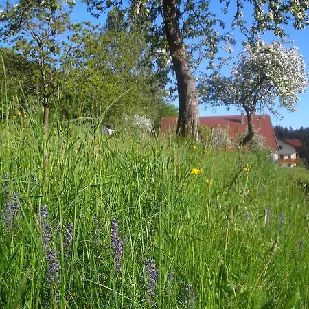 Lindenhof *