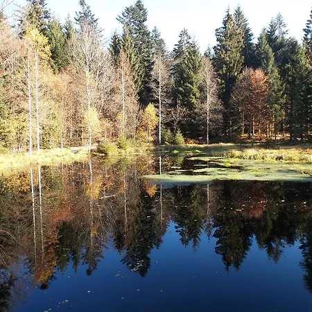Lindenhof Апартаменты