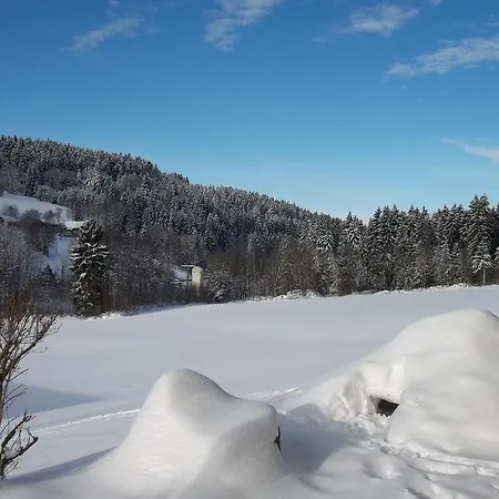 Апартаменты Lindenhof *