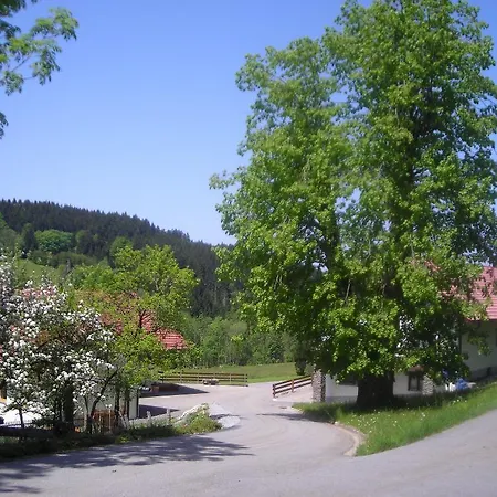 Апартаменты Lindenhof