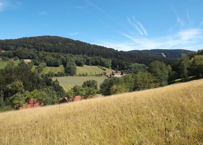 Lindenhof شقة